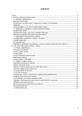Įmonės analizė: AB "Panevėžio statybos trestas" 2 puslapis