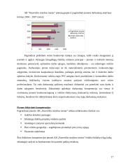 Įmonės analizė: AB "Panevėžio statybos trestas" 17 puslapis