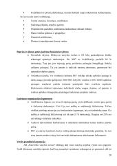 Įmonės analizė: AB "Panevėžio statybos trestas" 20 puslapis