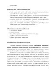 Įmonės analizė: AB "Panevėžio statybos trestas" 7 puslapis