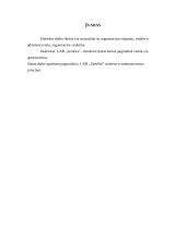 Įmonės analizė: aptarnavimas UAB "Zemfira" 2 puslapis