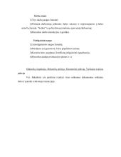 Įmonės analizė: aptarnavimas UAB "Zemfira" 11 puslapis