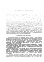 Įmonės analizė: jūrų krovinių kompanija "Bega"