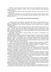 Įmonės analizė: jūrų krovinių kompanija "Bega" 2 puslapis