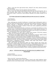 Įmonės analizė: jūrų krovinių kompanija "Bega" 11 puslapis
