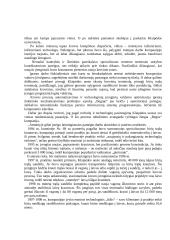 Įmonės analizė: jūrų krovinių kompanija "Bega" 12 puslapis