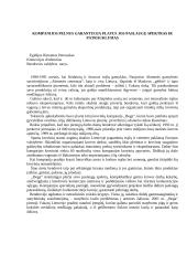 Įmonės analizė: jūrų krovinių kompanija "Bega" 13 puslapis