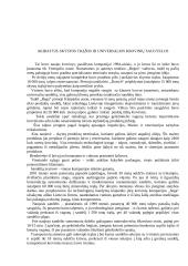 Įmonės analizė: jūrų krovinių kompanija "Bega" 3 puslapis