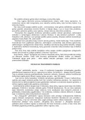 Įmonės analizė: jūrų krovinių kompanija "Bega" 4 puslapis