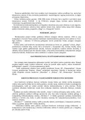 Įmonės analizė: jūrų krovinių kompanija "Bega" 5 puslapis