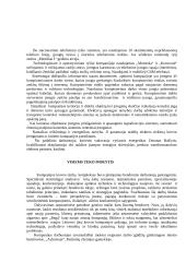Įmonės analizė: jūrų krovinių kompanija "Bega" 6 puslapis