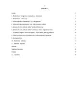 Įmonės analizė: UAB "Šaltuko ledai" 2 puslapis