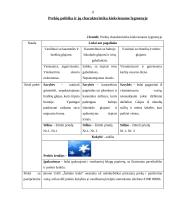 Įmonės analizė: UAB "Šaltuko ledai" 11 puslapis