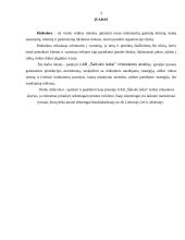 Įmonės analizė: UAB "Šaltuko ledai" 3 puslapis