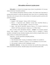 Įmonės analizė: UAB "Šaltuko ledai" 5 puslapis