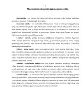 Įmonės analizė: UAB "Šaltuko ledai" 6 puslapis