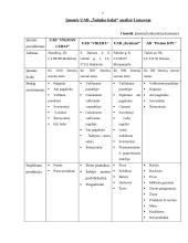 Įmonės analizė: UAB "Šaltuko ledai" 7 puslapis