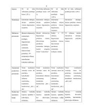 Įmonės analizė: UAB "Šaltuko ledai" 8 puslapis