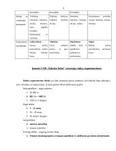 Įmonės analizė: UAB "Šaltuko ledai" 9 puslapis