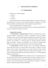 Įmonės apibūdinimas: kirpykla IĮ "Aiva" 5 puslapis