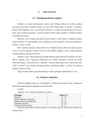 Įmonės apibūdinimas: kirpykla IĮ "Aiva" 8 puslapis