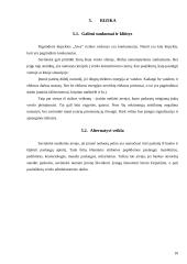 Įmonės apibūdinimas: kirpykla IĮ "Aiva" 9 puslapis