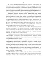 Įmonės aplinkos įvertinimas priimant sprendimus 11 puslapis