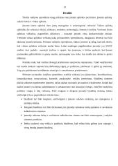 Įmonės aplinkos įvertinimas priimant sprendimus 13 puslapis