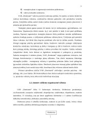 Įmonės charakteristika: UAB "Dominantė" 11 puslapis