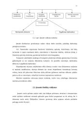 Įmonės charakteristika: UAB "Dominantė" 12 puslapis