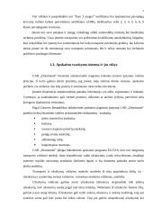 Įmonės charakteristika: UAB "Dominantė" 4 puslapis