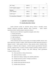 Įmonės charakteristika: UAB "Dominantė" 10 puslapis
