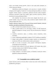 AB "Gubernija" finansinės būklės analizė 11 puslapis