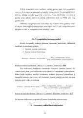 AB "Gubernija" finansinės būklės analizė 13 puslapis