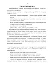 Įmonės ilgalaikių investicijų kreditavimas 13 puslapis