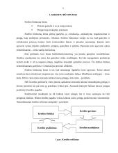 Įmonės ilgalaikių investicijų kreditavimas 5 puslapis