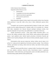 Įmonės ilgalaikių investicijų kreditavimas 6 puslapis