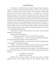 Įmonės ilgalaikių investicijų kreditavimas 7 puslapis