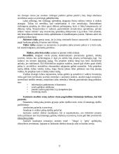 Įmonės kapitalo investicijų valdymas 11 puslapis