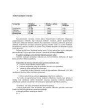 Įmonės kapitalo investicijų valdymas 12 puslapis