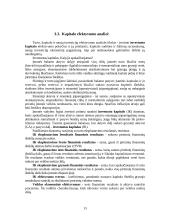 Įmonės kapitalo investicijų valdymas 13 puslapis