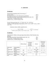 Įmonės kapitalo investicijų valdymas 16 puslapis