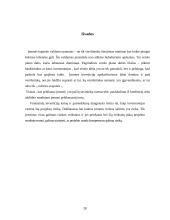 Įmonės kapitalo investicijų valdymas 20 puslapis