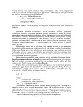 Įmonės kapitalo investicijų valdymas 9 puslapis