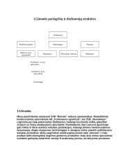 Įmonės konkurencinės aplinkos įvertinimas: UAB "Biovela" 14 puslapis