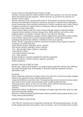 Įmonės konkurencinės aplinkos įvertinimas: UAB "Biovela" 6 puslapis