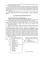 Įmonės kontrolės procesų valdymas 11 puslapis