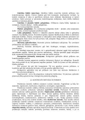 Įmonės kontrolės procesų valdymas 12 puslapis