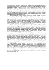 Įmonės kontrolės procesų valdymas 13 puslapis