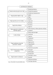 Įmonės kontrolės procesų valdymas 14 puslapis